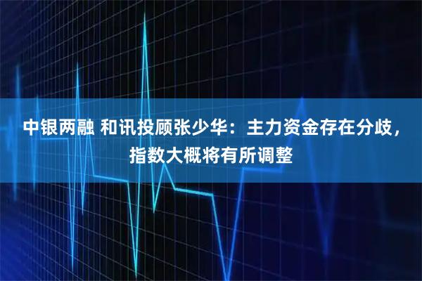 中银两融 和讯投顾张少华：主力资金存在分歧，指数大概将有所调整