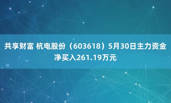 共享财富 杭电股份（603618）5月30日主力资金净买入261.19万元