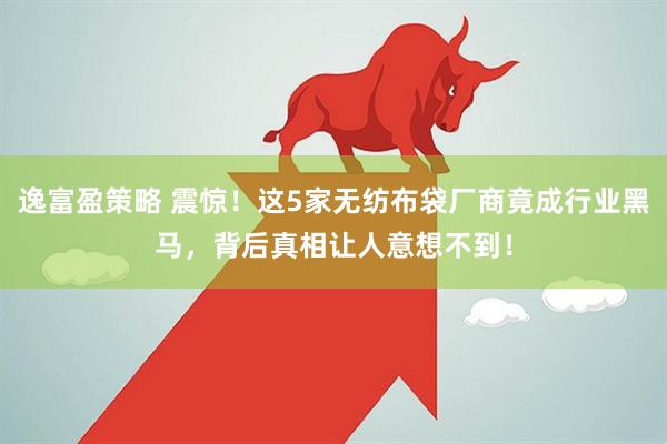 逸富盈策略 震惊！这5家无纺布袋厂商竟成行业黑马，背后真相让人意想不到！