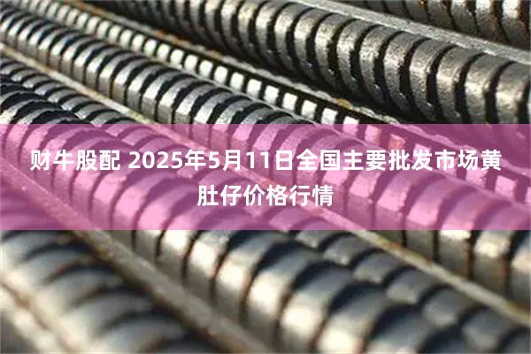 财牛股配 2025年5月11日全国主要批发市场黄肚仔价格行情