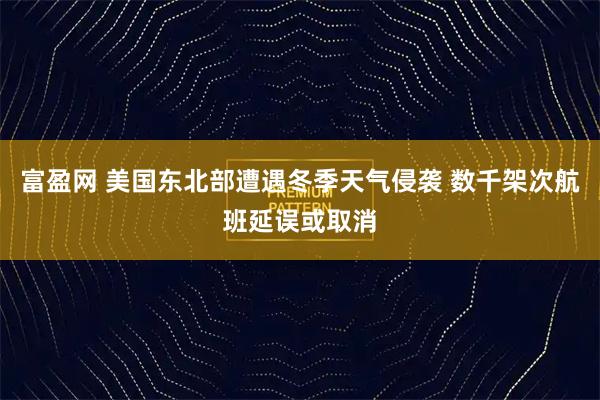 富盈网 美国东北部遭遇冬季天气侵袭 数千架次航班延误或取消
