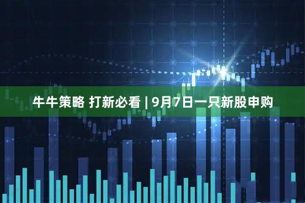 牛牛策略 打新必看 | 9月7日一只新股申购